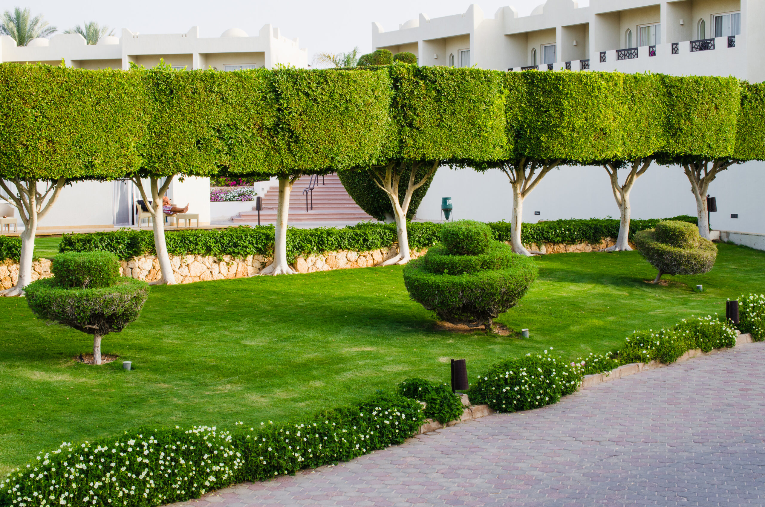well-groomed-park-territory-five-star-hotel-summer-sharm-el-sheikh-scaled.jpg